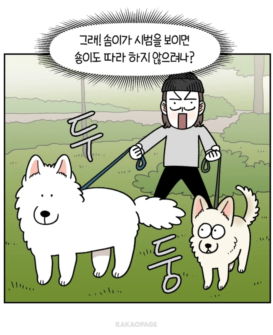 배변훈련이 안된 성견에게 가르치는 법_5.webp