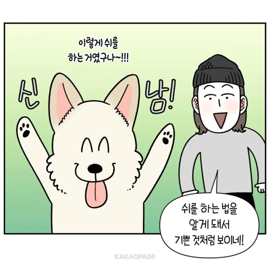 배변훈련이 안된 성견에게 가르치는 법_12.webp