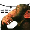 결혼정보회사 S급 직업 등급표_2.png