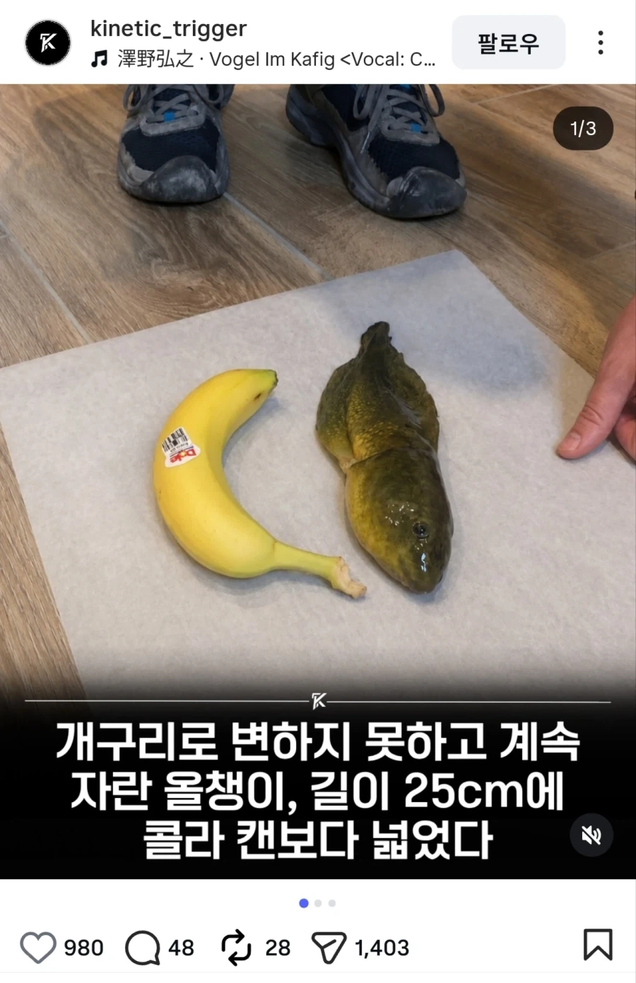 초보자 랭킹 1위.jpg_1.webp