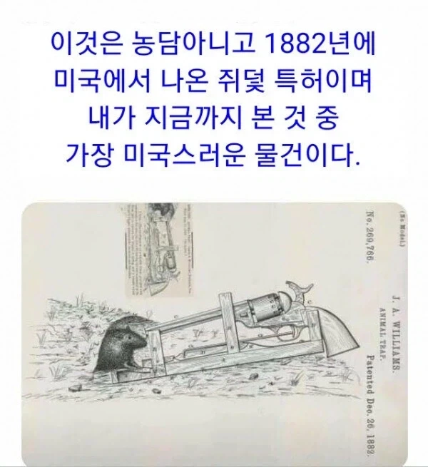 가장 미국다운 쥐덫_1.webp