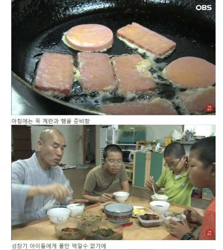 비건 21년차 가족의 건강 상태.jpg_3.webp