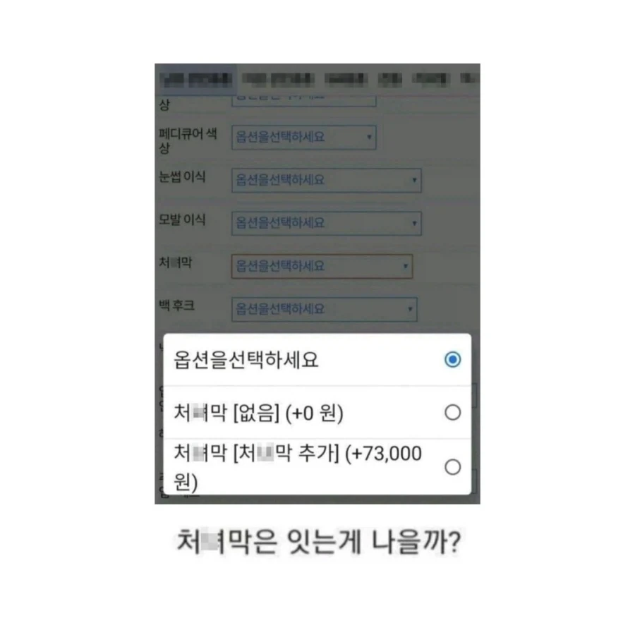 주짓수 입문 필수 용품_3.webp