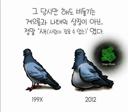 인간 사회에 완벽 적응한 동물.jpg_1.webp