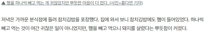 김밥 옆구리 터지는 소리하는 비건인_3.webp