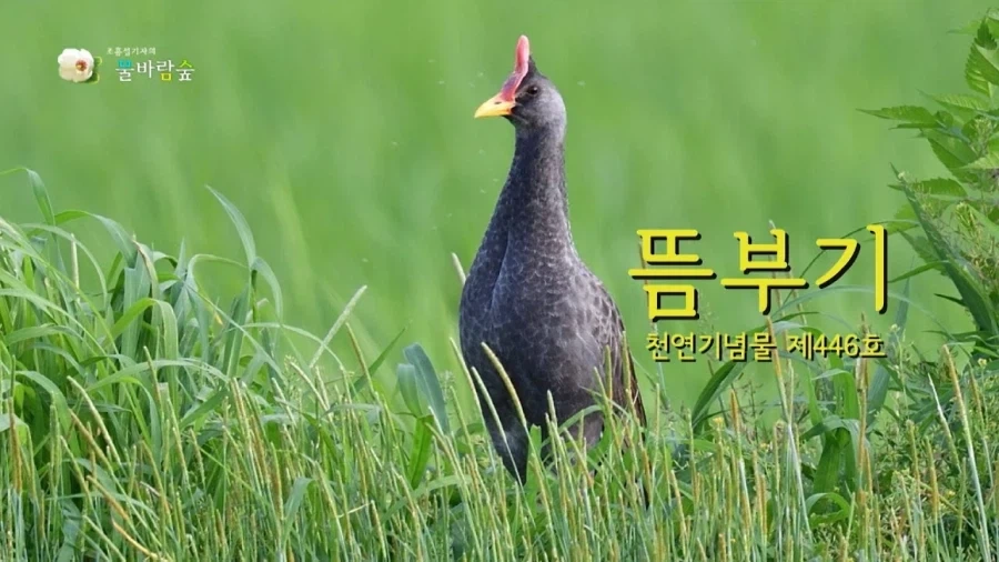 검열 관련 기사뜸_1.webp