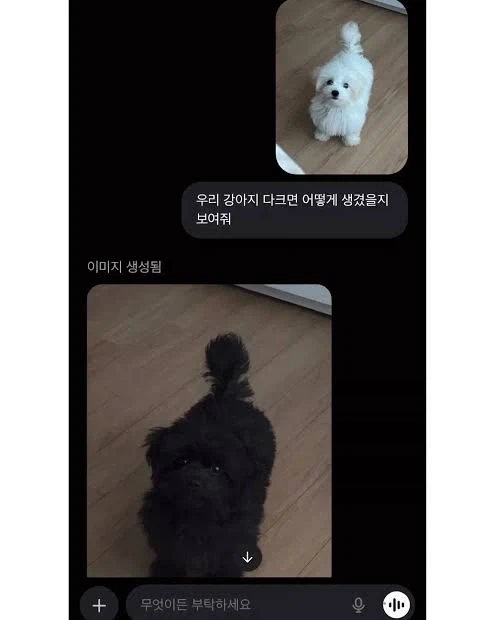 ai야 내강아지가 다크면어찌될지 보여줘_1.webp