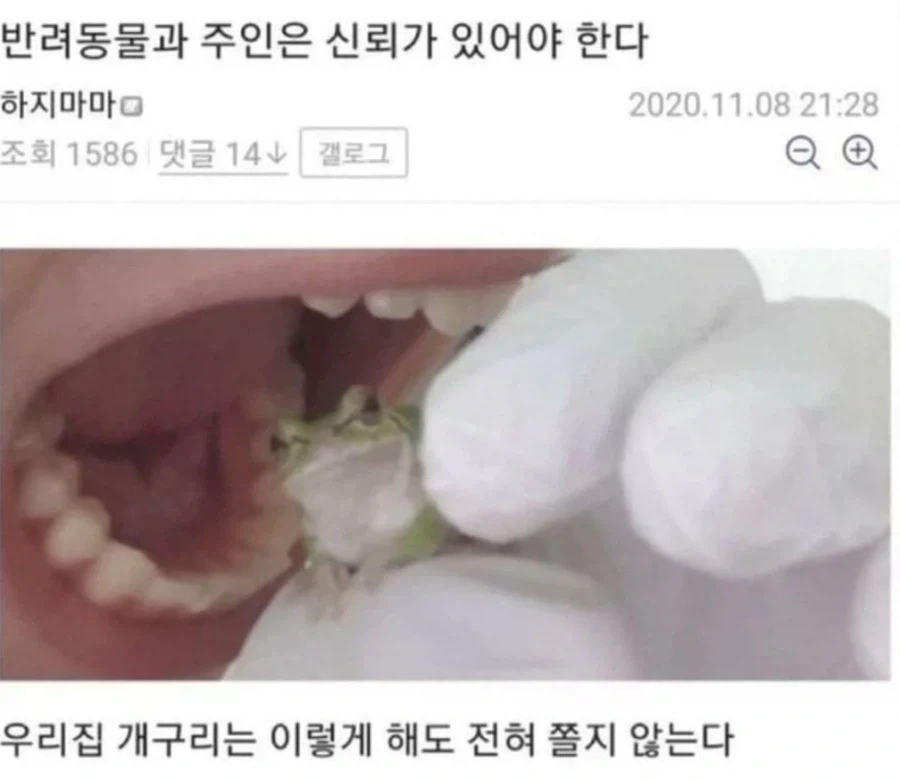 반려동물과 주인은 신뢰가 있어야 한다._1.webp