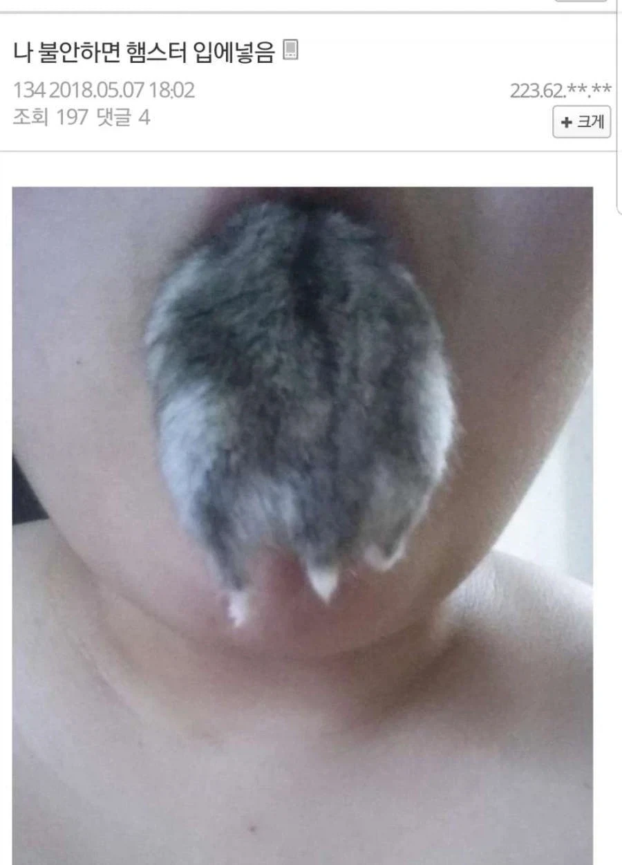 반려동물과 주인은 신뢰가 있어야 한다._2.webp