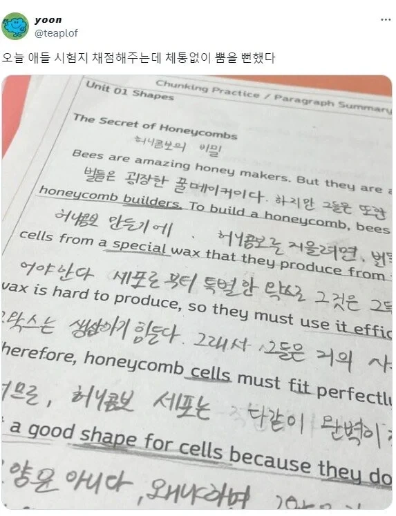 애들 시험지 채점하다 체통없이 뿜을 뻔함_1.webp