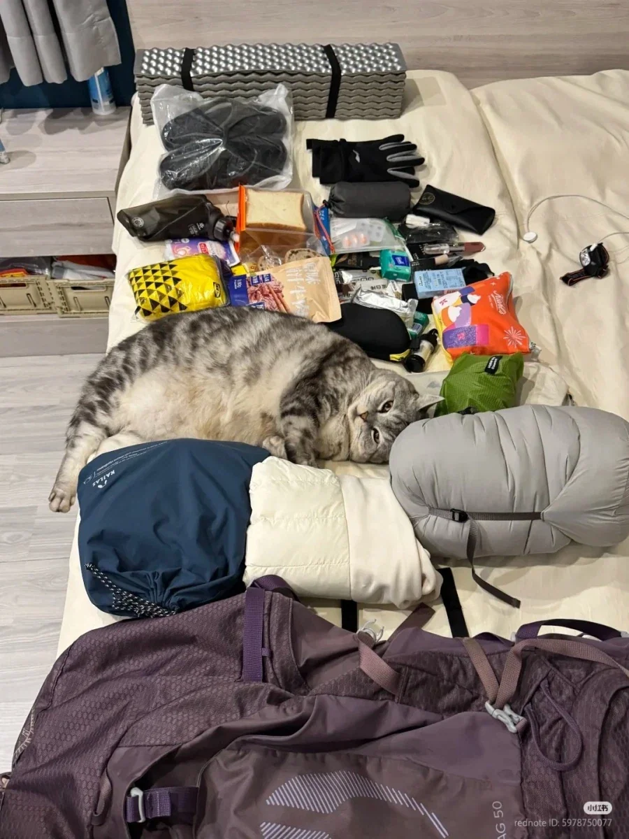 캠핑 필수 준비물 ⛺_1.webp