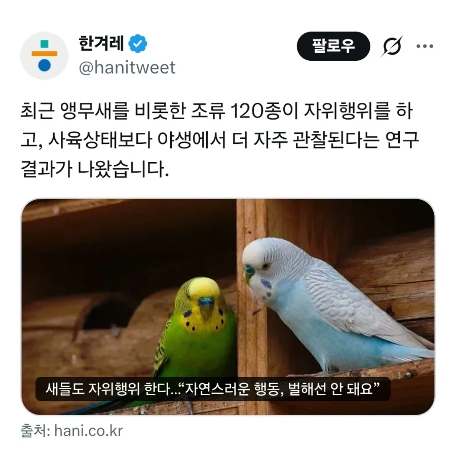 새들도 자위행위 한다…_1.webp
