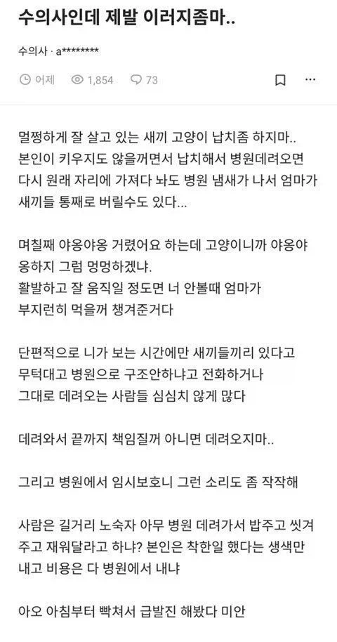 수의사:제발 새끼 고양이 납치해서 오지마_1.webp