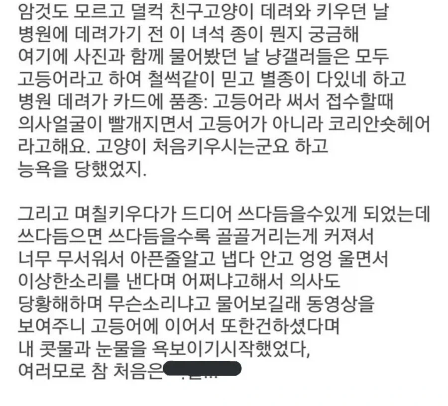 고양이 처음키우고 수의사에게 능욕당한 사람_1.webp