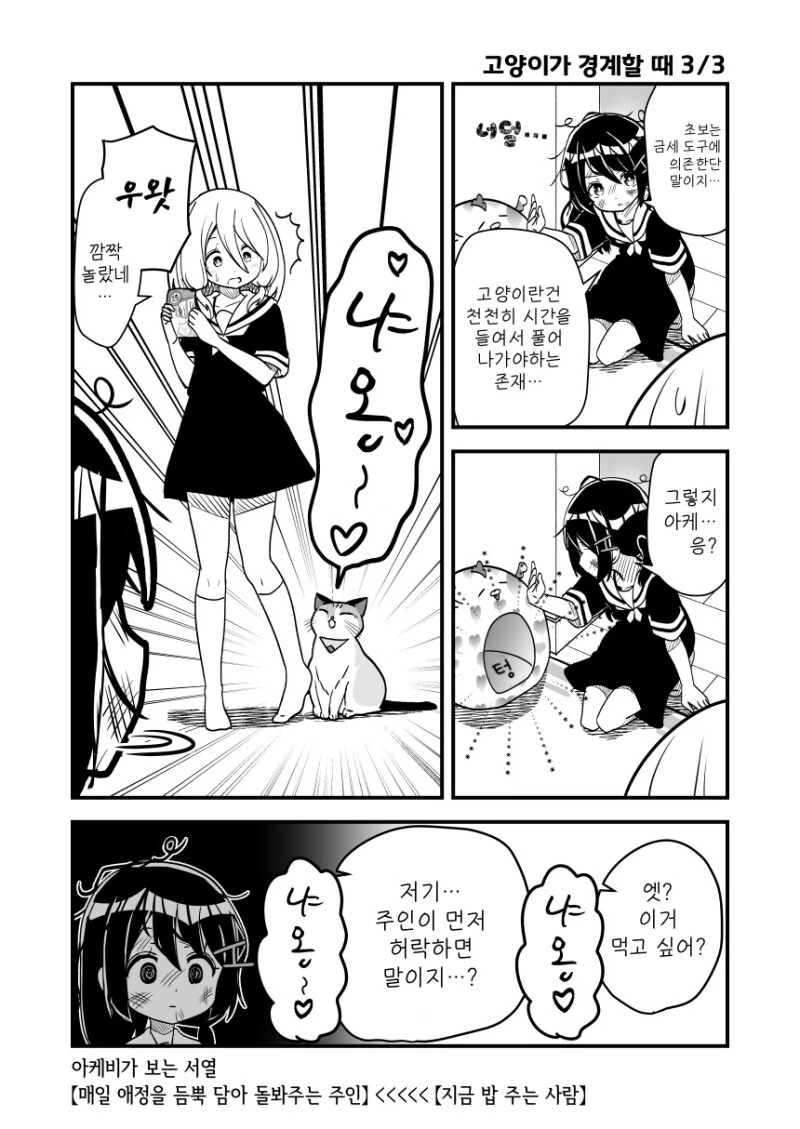 manga_1589553_003.webp