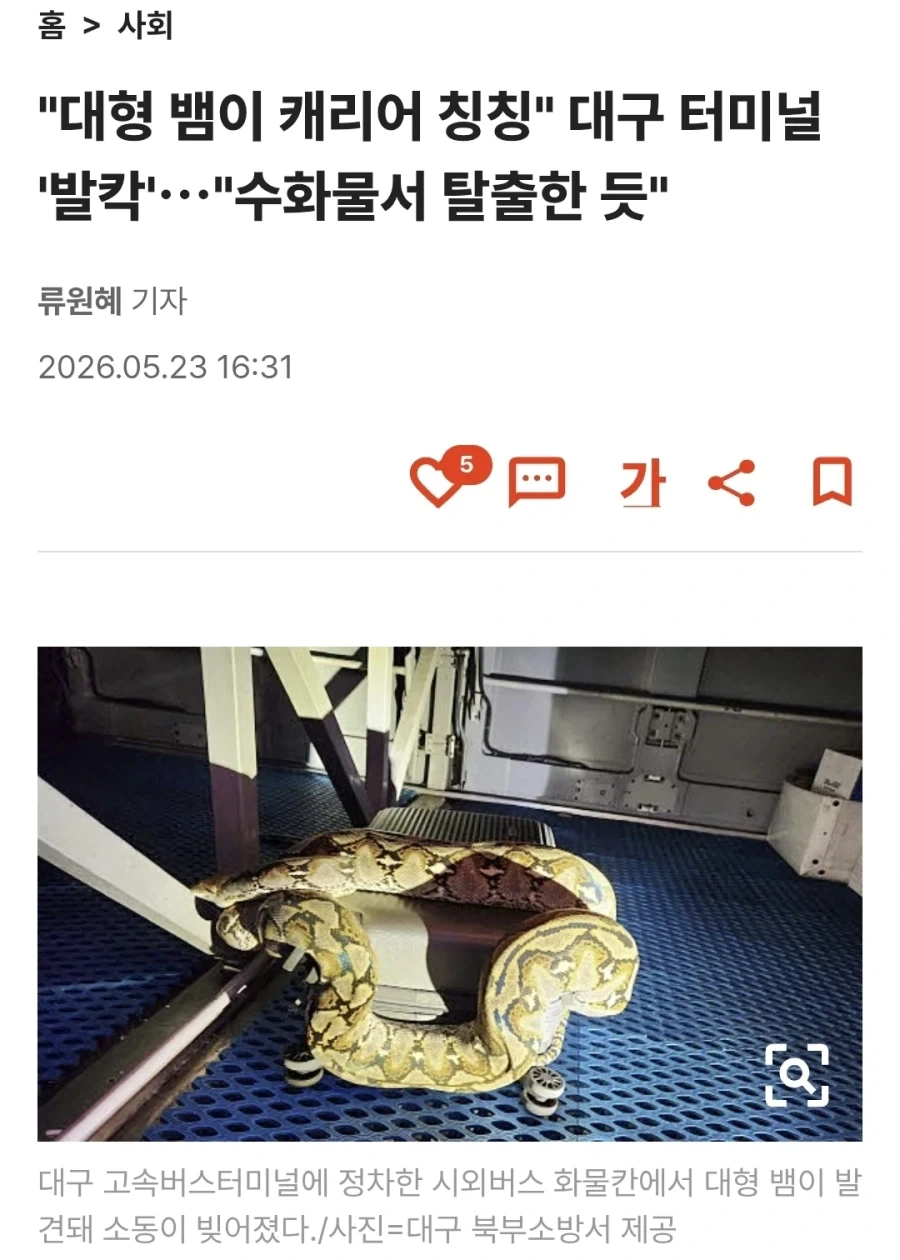 이게 그 주토피아2구나_1.webp