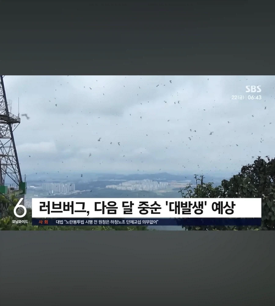 다음달에 그분들 온다고 함_2.webp