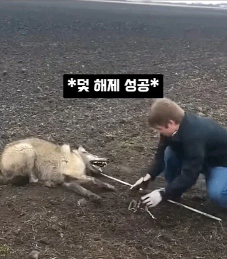개를 발명하는 과정_8.webp