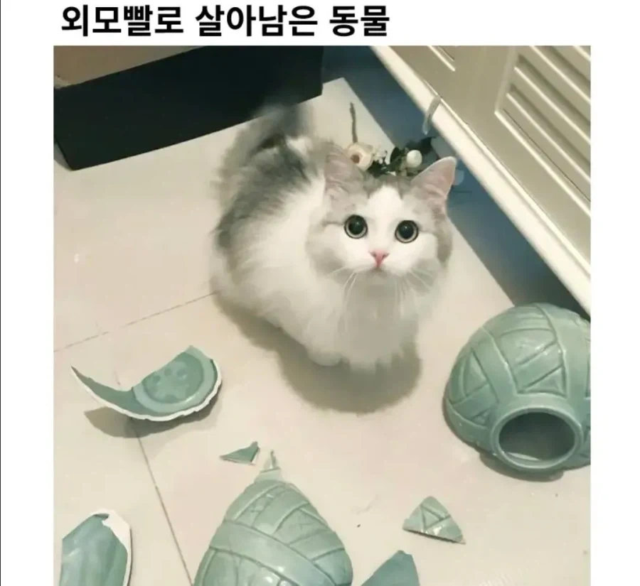 내면의 아름다움이란 얼마나 하찮은가.jpg_1.webp
