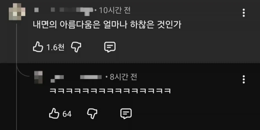 내면의 아름다움이란 얼마나 하찮은가.jpg_3.webp