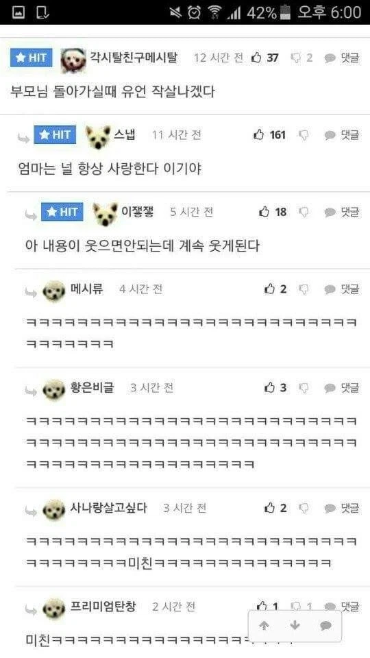 개명이 필요한 디시인.jpg_2.webp