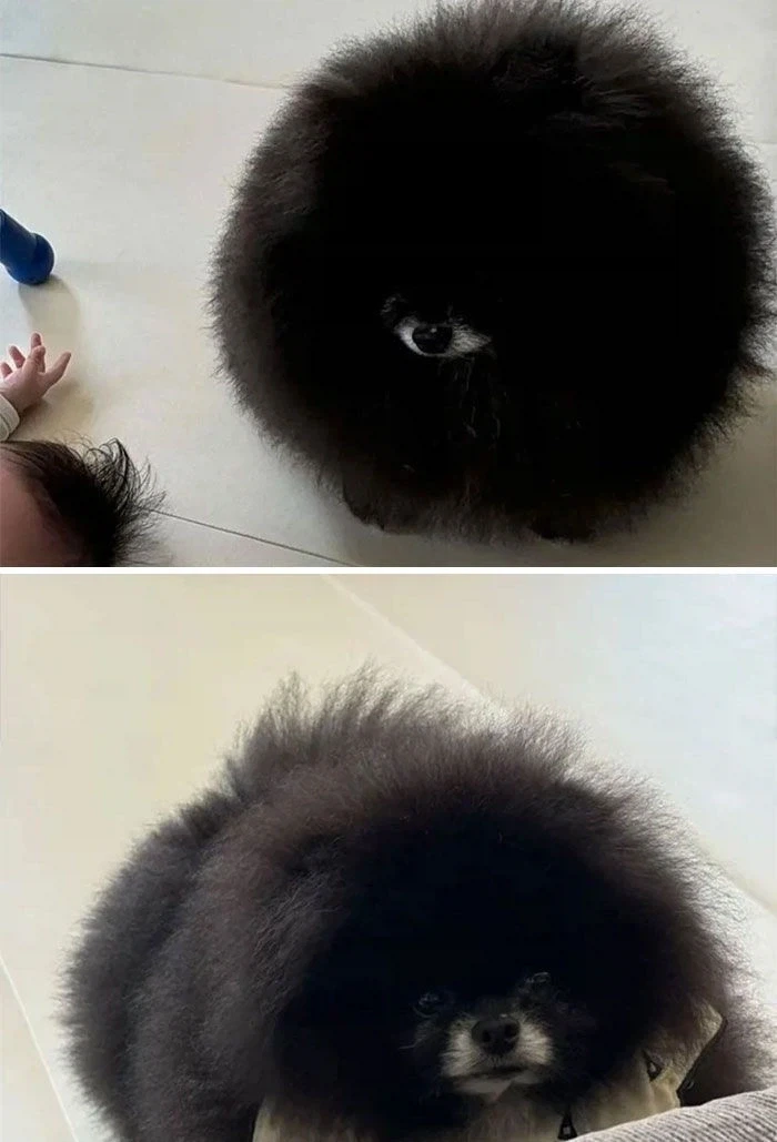 외눈 생명체_1.webp