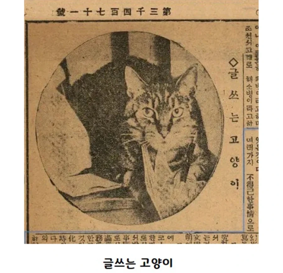 조상님들의 고양이 사랑_3.webp
