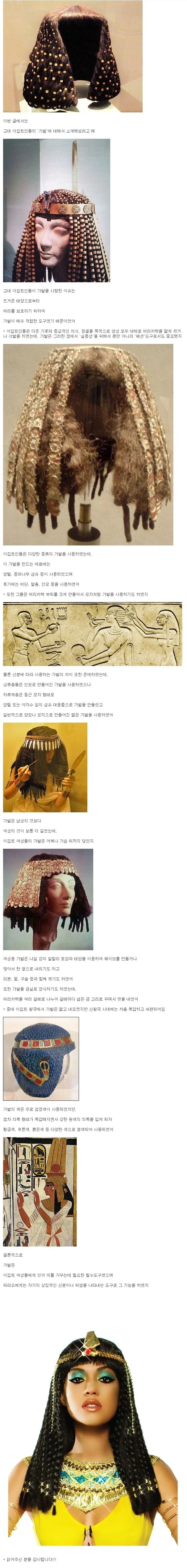 역사) 고대 이집트인들의 가발_1.webp
