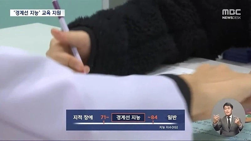 대한민국 경계선 지능 700만 추정..._4.webp