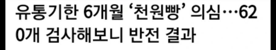 천원빵 620개 전수조사 충격 결과_1.webp