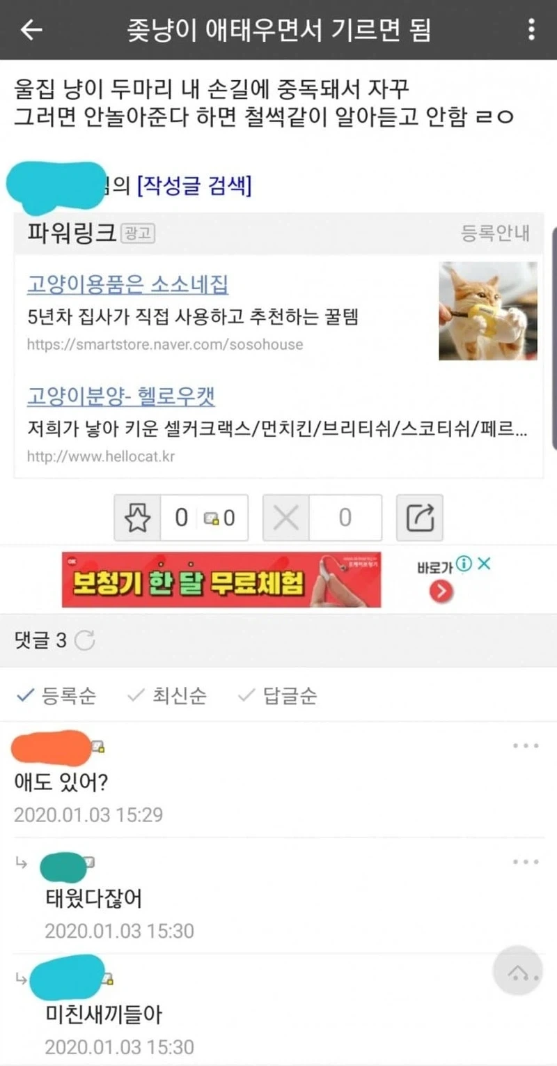 고양이 애태우면서 기르면 됨_1.webp