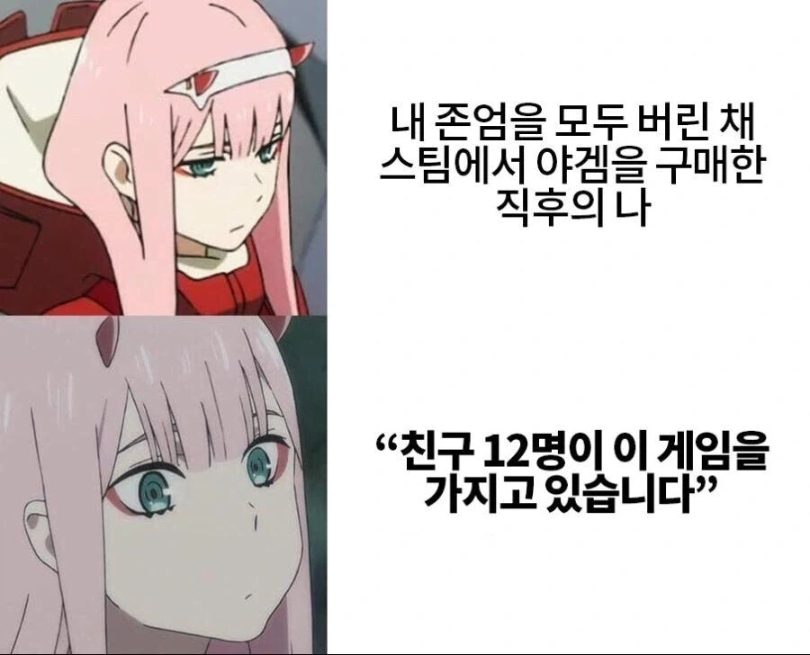 스팀에서 야겜을 구매하는 심정.jpg_1.webp