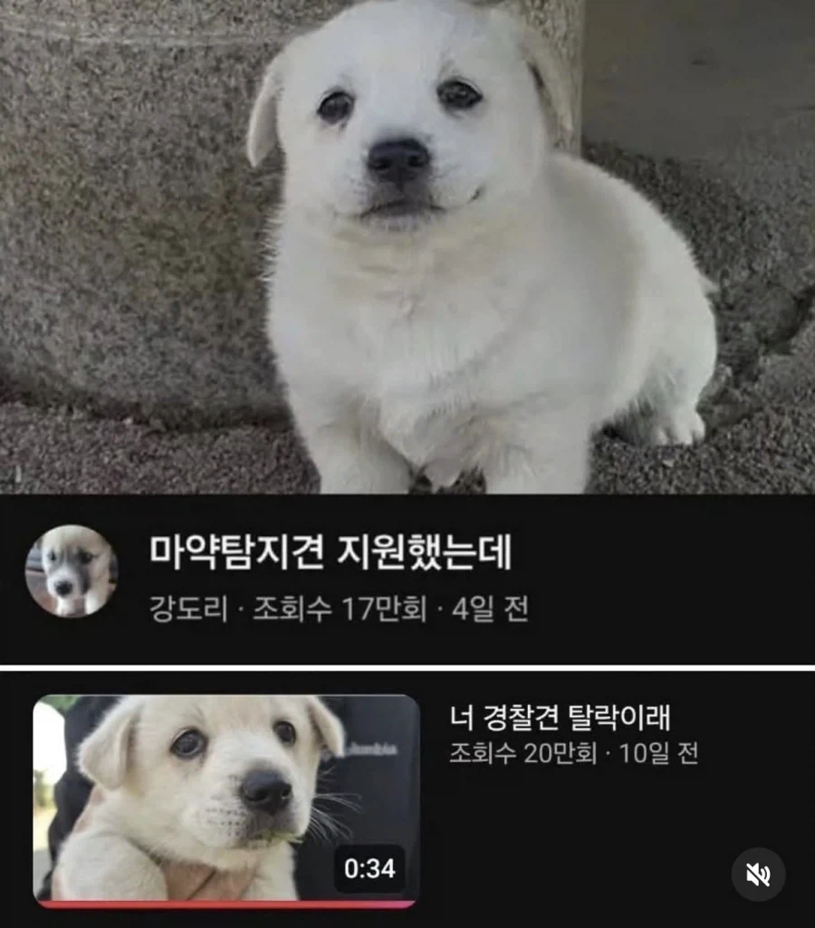 쉬었음 멍년.jpg_1.webp