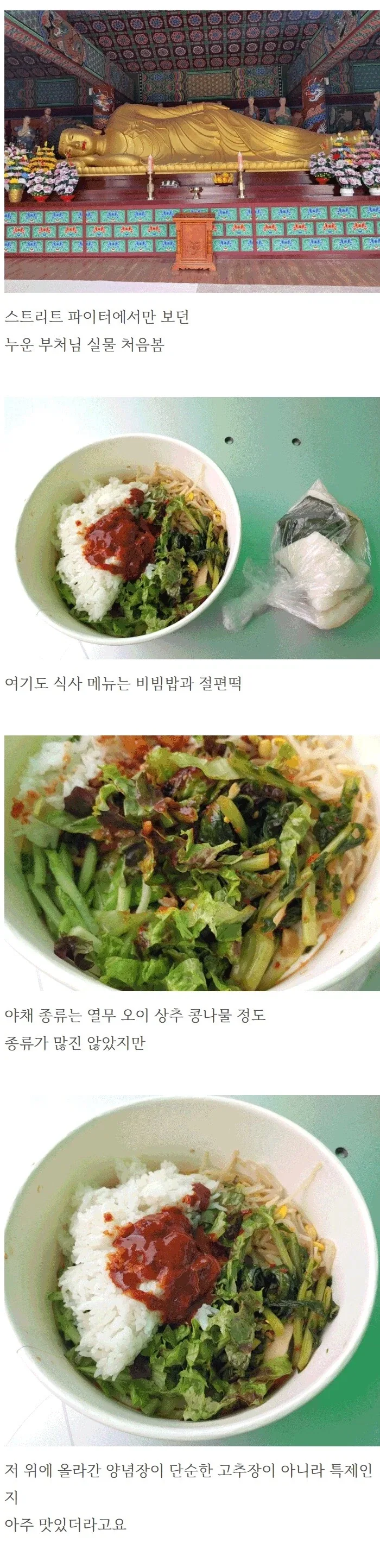 부처님 오신 날에 절에 가서 비빔밥 얻어 먹은 사람.jpg_11.webp
