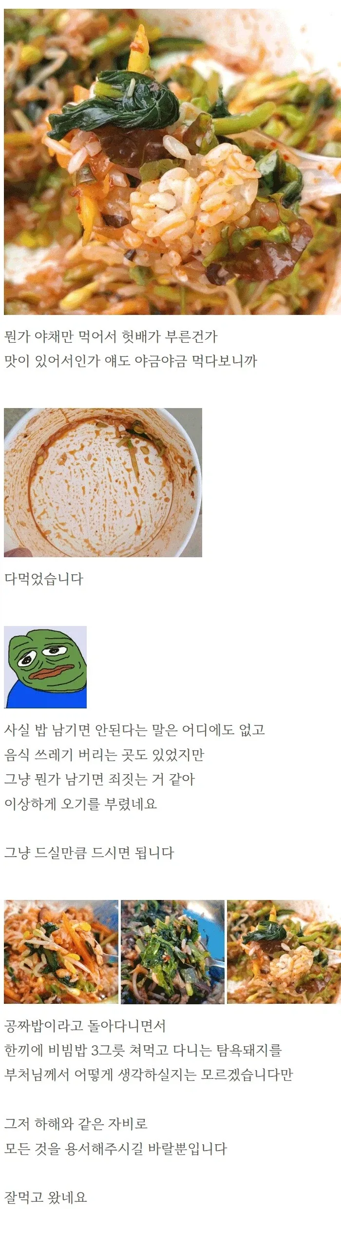 부처님 오신 날에 절에 가서 비빔밥 얻어 먹은 사람.jpg_12.webp