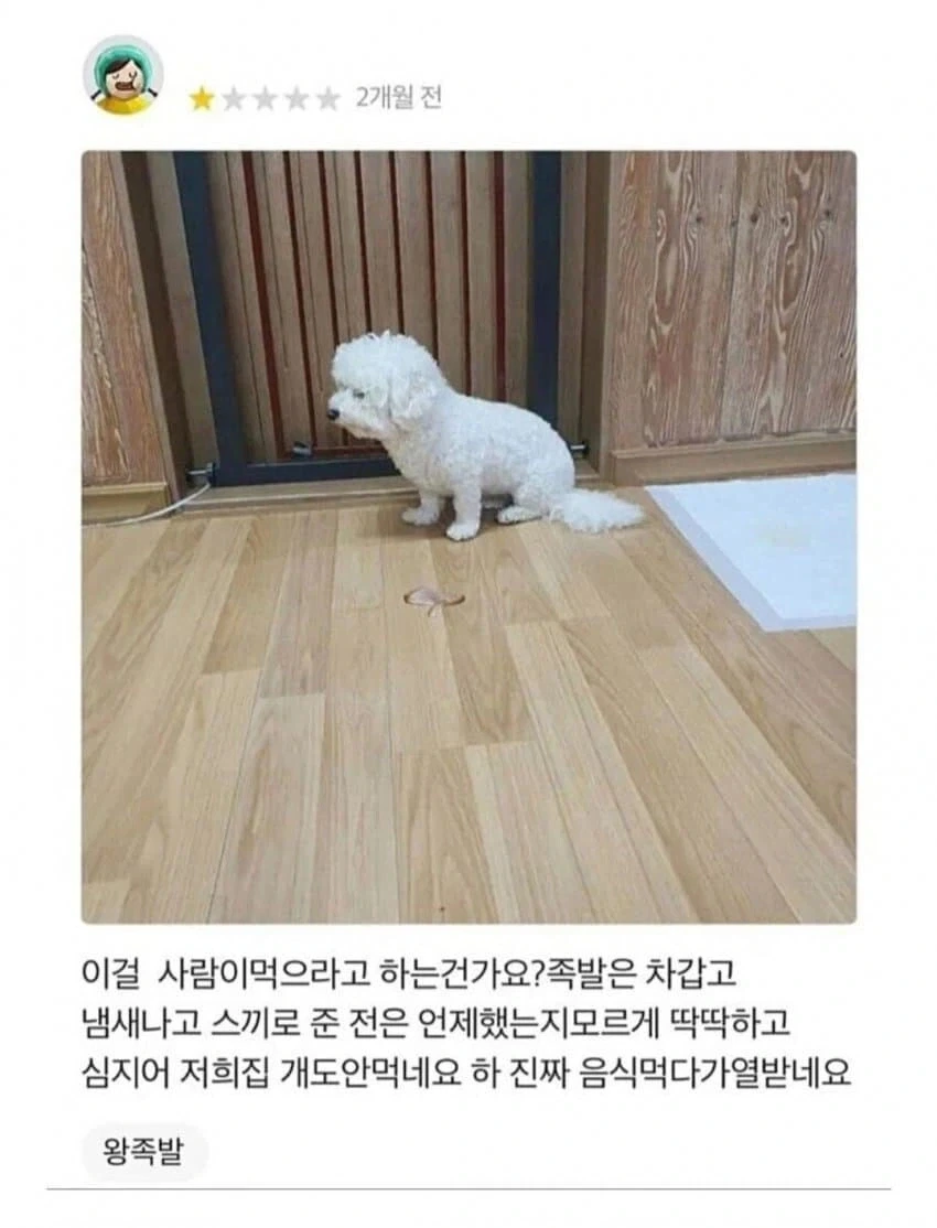 개도 안먹는 리뷰_1.webp