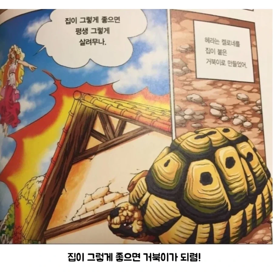 보법이 다른 집순이의 최후_2.webp