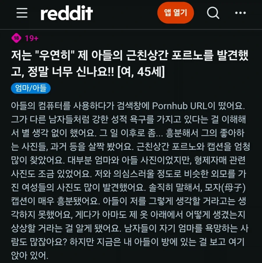 아들의 야동을 발견하고 흥분한 래딧 유저_1.webp