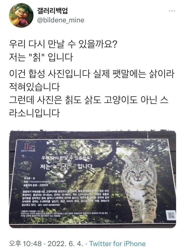의외로 합성이었던 고전 짤_2.webp