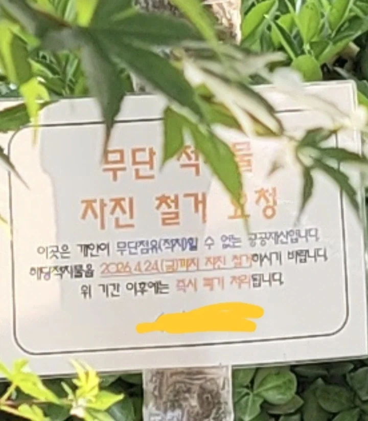 놀이터에 불법 고양이빌라 치워져뿟다.누가 신고했나봄_3.webp