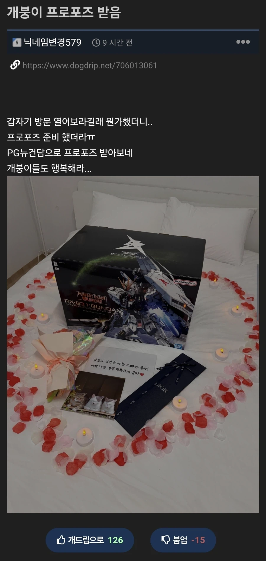 건담으로 프로포즈 받은 사람.jpg_1.webp
