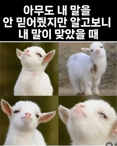 실존 인물에 중립 지키면 자주 할 수 있는 행동_1.webp