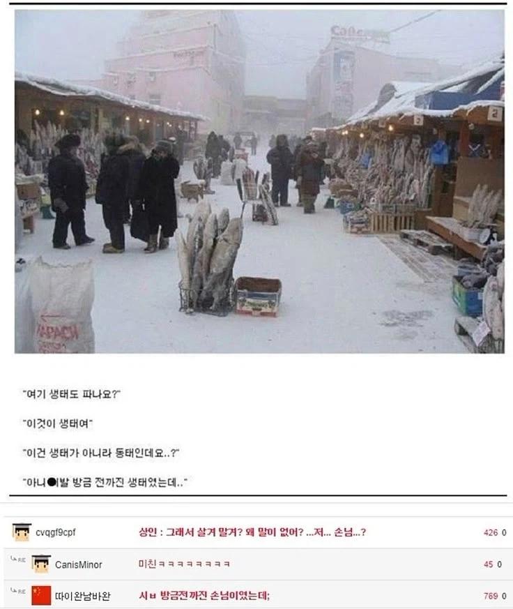 생태에서 동태가 되는 나라_1.webp