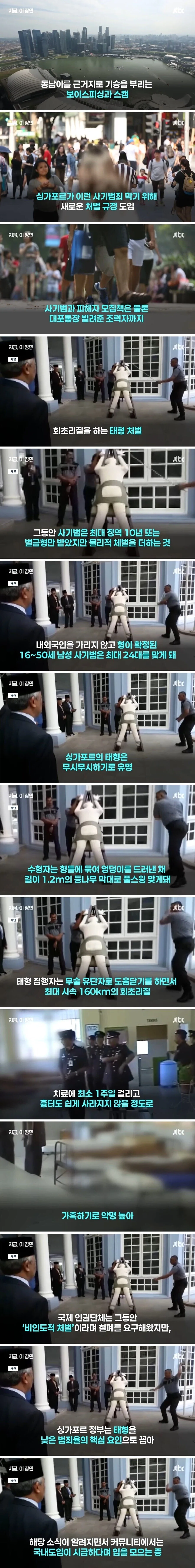 싱가포르 태형 도입하라는 한국 네티즌.jpg_1.webp