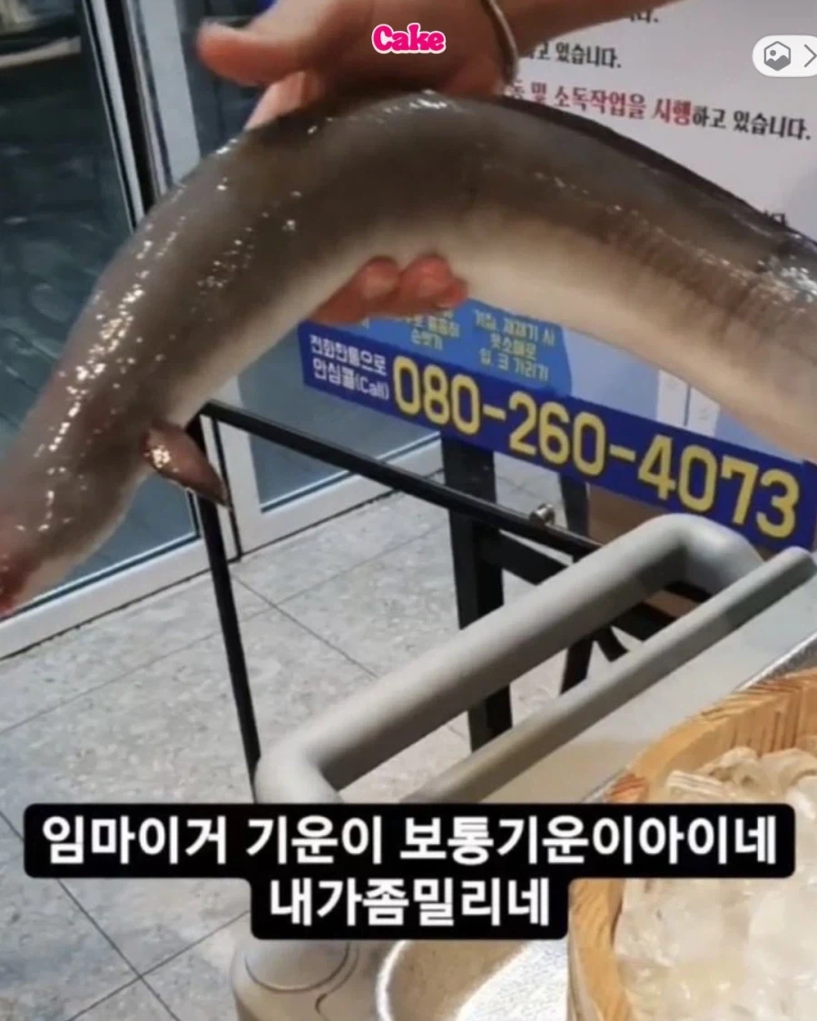 손아섭 인스타모음..._6.webp