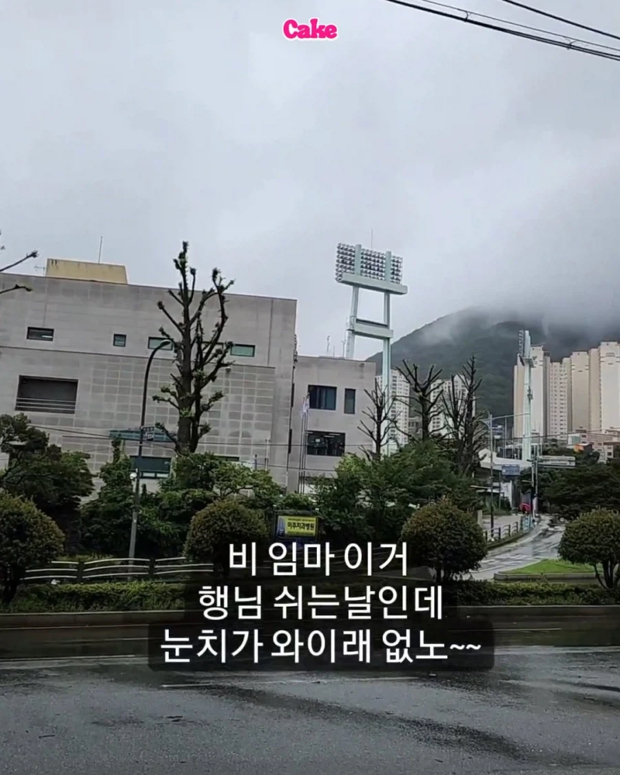 손아섭 인스타모음..._9.webp
