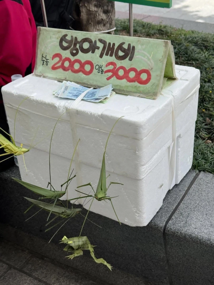 남포동 금손 할아버지_2.webp