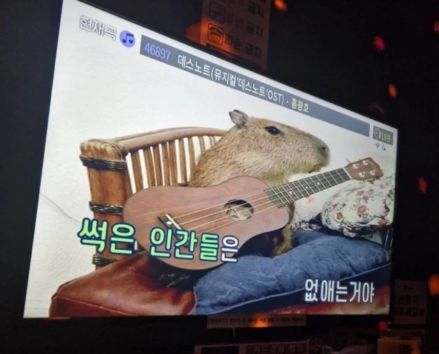 노래하는 카피바라_1.webp