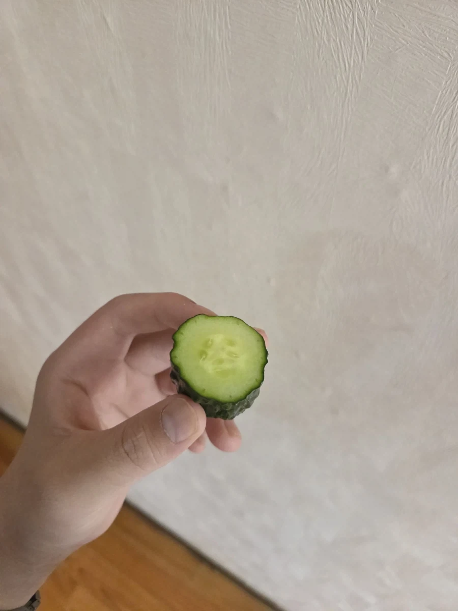 까시조아_2.webp
