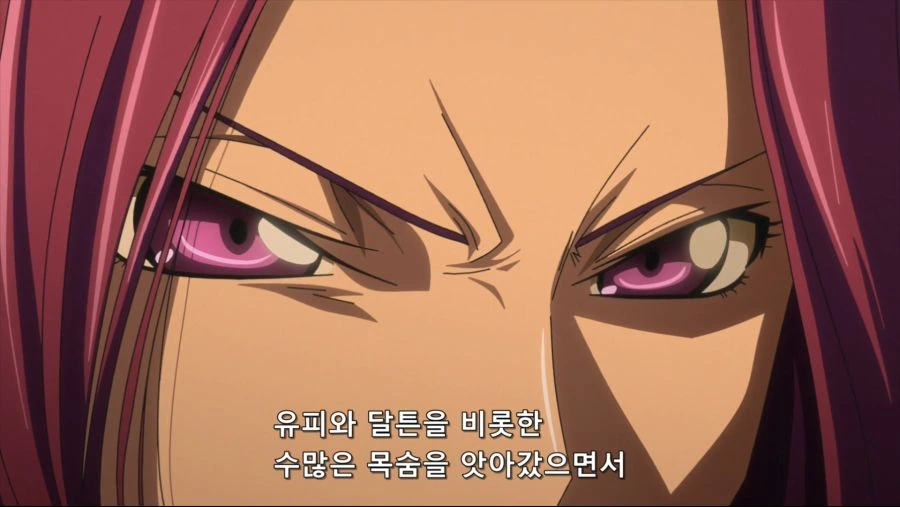 [Mabors-Sub][Code Geass Fukkatsu no Lelouch][Movie][1080P][GB][BDrip][AVC AAC YUV420P8].mp4_20191220_113834.472.jpg